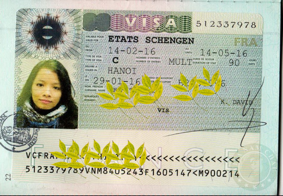 Visa Phap
